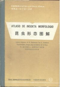 Atlaso de insekta morfologio