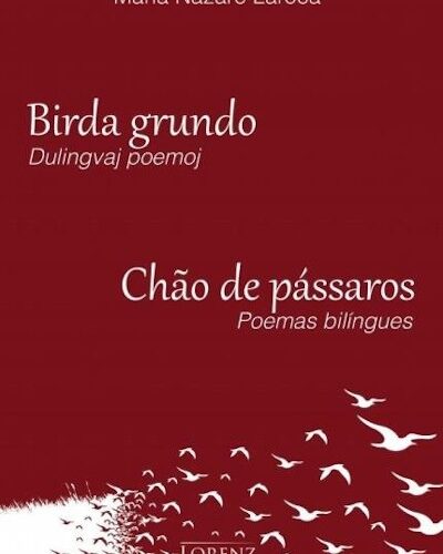 Birda-grundo