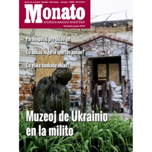Início 12 Monato